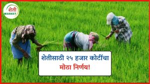 sheti-guntvani-25k-crore-yojana: शेती गुंतवणुकीसाठी मोठा निर्णय: २५ हजार कोटींची तरतूद!