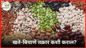 biayane-khate-takrar: बियाणे गुणवत्ता, खत साठवणूक व लिंकींगसंदर्भातील तक्रार कृषी विभागाकडे कशी कराल?
