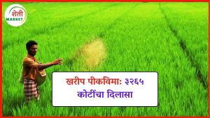 kharip-pik-vima: खरीप पीकविमा: सरकारकडून ३,२६५ कोटींची मंजुरी, 'या' जिल्ह्याला सर्वाधिक लाभ
