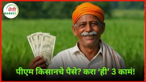  pm-kisan-yojana: 'ही' 3 महत्त्वाची कामं पूर्ण करा, मगच मिळेल पीएम किसान योजनेचा लाभ!
