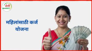 swarnima-karj-yojana: महिलांसाठी केंद्र सरकारची फायदेशीर कर्ज योजना – जाणून घ्या सविस्तर!