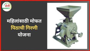 pith-girni-yojana: महिलांसाठी खास योजना... मोफत पिठाची गिरणी मिळणार कोणाला?