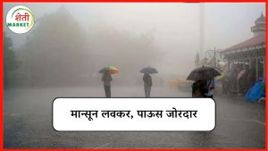 monsoon-alert: मान्सूनचा सहा दिवस आधी प्रवेश; कमी दाबाच्या पट्ट्यामुळे वादळी वारे आणि मुसळधार पावसाची शक्यता