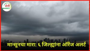  monsoon-alert: मध्य महाराष्ट्र आणि मराठवाड्यात मान्सूनचा जोरदार मारा; सहा जिल्ह्यांना ऑरेंज अलर्ट