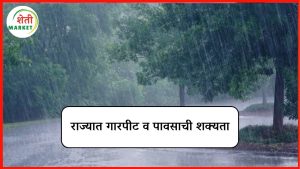 maharashtra-rain-alert: राज्यात पुढील ४-५ दिवस गारपिटीची शक्यता; या जिल्ह्यांत मेघगर्जना होणार!