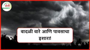  rain-alert: आकाश पुन्हा भरून येणार? काही जिल्ह्यांत वादळी वाऱ्यांसह पावसाची शक्यता!