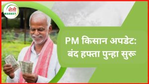 pm-kisan: PM किसान योजनेचं नवं अपडेट: बंद झालेला हफ्ता पुन्हा मिळणार, फक्त 'हे' करा!