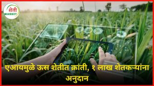 ai-us-sheti: ‘एआय’च्या जोरावर ऊस शेतीचा नवा अध्याय; १ लाख शेतकऱ्यांना मिळणार अनुदान
