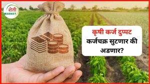 krushi-karj: कृषी कर्जात दुप्पट वाढ; शेतकऱ्यांचे कर्जचक्र सुटणार की अडकणार?