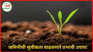 supik-jamin-upay: जमिनीची सुपीकता वाढवण्यासाठी करा 'या' महत्वाच्या उपाययोजना!