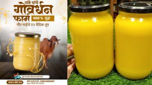 तांबे गोवर्धन फार्म A2 घी मिळेल.