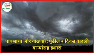 rain alert: राज्यात पावसाचा जोर वाढणार; पुढील २ दिवस वादळी वाऱ्यांसह या भागांमध्ये पावसाचा इशारा