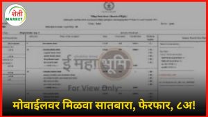 satbara-whatsapp-seva: सातबारा, फेरफार, ८अ... आता मोबाईलवर? क्लिक करा आणि जाणून घ्या!