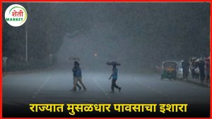 monsoon-alert: मोसमी पावसाला पोषक वातावरण: पुढील ३-४ दिवसांत राज्यातील या भागांत मुसळधार पावसाचा इशारा