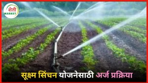 sukshma-sinchana-yojana: सूक्ष्म सिंचन योजनेसाठी अर्ज कसा कराल? 'या' पोर्टलवरून अर्ज करण्याची संपूर्ण प्रक्रिया जाणून घ्या!