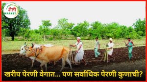  kharip-perani-maharashtra-2025: खरीप हंगामात ११.७० लाख हेक्टरवर पेरणी; सर्वाधिक पेरणी कोणत्या पिकाची?