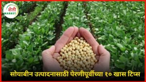 soyabean-perani: सोयाबीन उत्पादन वाढवण्यासाठी पेरणीपूर्वी करा ‘या १० महत्त्वाच्या गोष्टी’