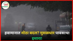 maharashtra-rain-alert: हवामानात मोठा बदल? मुसळधार पावसाचा इशारा!