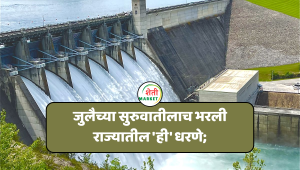 water dam : जुलैच्या सुरुवातीलाच भरली राज्यातील 'ही' धरणे;