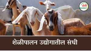 शेळीपालन उद्योगातील संधी