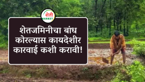शेतजमिनीवरील बांधकोरी व अतिक्रमण : शेतकऱ्यांसाठी संपूर्ण कायदेशीर मार्गदर्शन