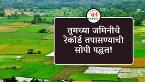 Maharashtra Land Record Update : राज्यातील जमिनींच्या पोटहिश्श्यांसाठी भूमी अभिलेख विभागाचा महत्त्वपूर्ण निर्णय