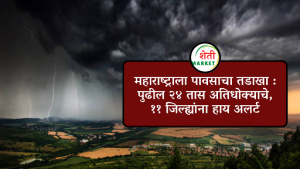 महाराष्ट्राला पावसाचा तडाखा : पुढील २४ तास अतिधोक्याचे, ११ जिल्ह्यांना हाय अलर्ट