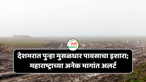 देशभरात पुन्हा मुसळधार पावसाचा इशारा; महाराष्ट्राच्या अनेक भागांत अलर्ट