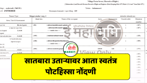 सातबारा उतार्यावर आता स्वतंत्र पोटहिस्सा नोंदणी