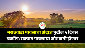 मराठवाडा पावसाचा अंदाज : पुढील ५ दिवस उघडीप; राज्यात पावसाचा जोर कमी होणार