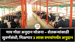 गाय गोठा अनुदान योजना – शेतकऱ्यांसाठी सुवर्णसंधी, मिळणार 3 लाख रुपयांपर्यंत अनुदान