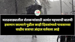 Marathwada Rain Update: शेतकऱ्यांसाठी दिलासादायक पावसाचा अंदाज