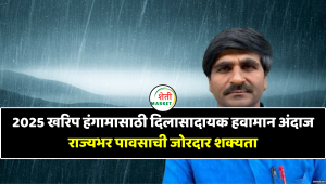 2025 खरिप हंगामासाठी दिलासादायक हवामान अंदाज : राज्यभर पावसाची जोरदार शक्यता