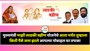 मुख्यमंत्री माझी लाडकी बहीण योजनेचे आता पर्यंत तुम्हाला किती पैसे जमा झाले आपल्या मोबाइल वर तपासा