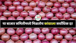 Kanda Market : कुठे आहे सर्वाधिक कांद्याला दर? आणि किती?