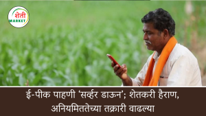 ई-पीक पाहणी ‘सर्व्हर डाऊन’; शेतकरी हैराण, अनियमिततेच्या तक्रारी वाढल्या