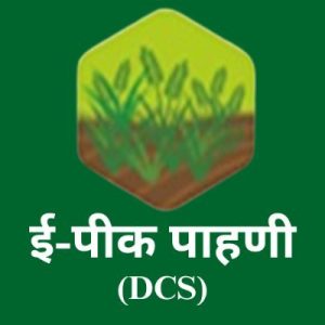 ई-पीक पाहणी राहिलेल्या शेतकऱ्यांना दिलासा