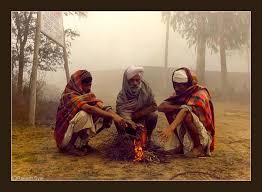 देशात थंडीचा जोर कायम