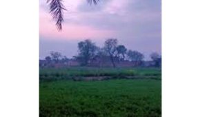 महाराष्ट्रात गारठा कायम राहणार