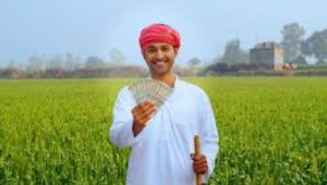 शेतकरी कर्जमाफीचा मार्ग मोकळा?