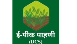 ई-पीक पाहणी ऑनलाइन चुकली?