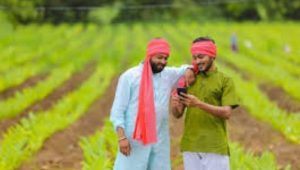 जनसमर्थ पोर्टलवरून घरबसल्या पीक कर्ज