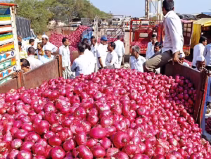 सोलापूर कांदा बाजारात नव्या कांद्याला विक्रमी दर