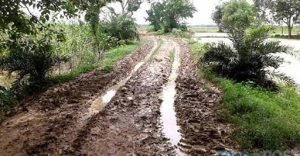 मुख्यमंत्री बळीराजा शेत/पाणंद रस्ते योजनेत मोठे बदल; ग्रामीण रस्त्यांना मिळणार नवा वेग