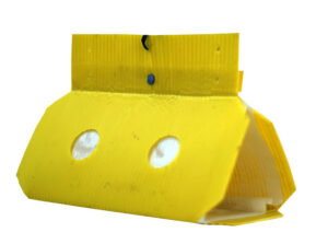 डेल्टा ट्रॅप (Delta Trap)