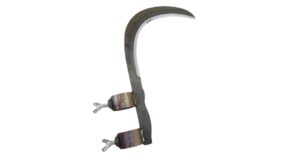 दातरी आकडी